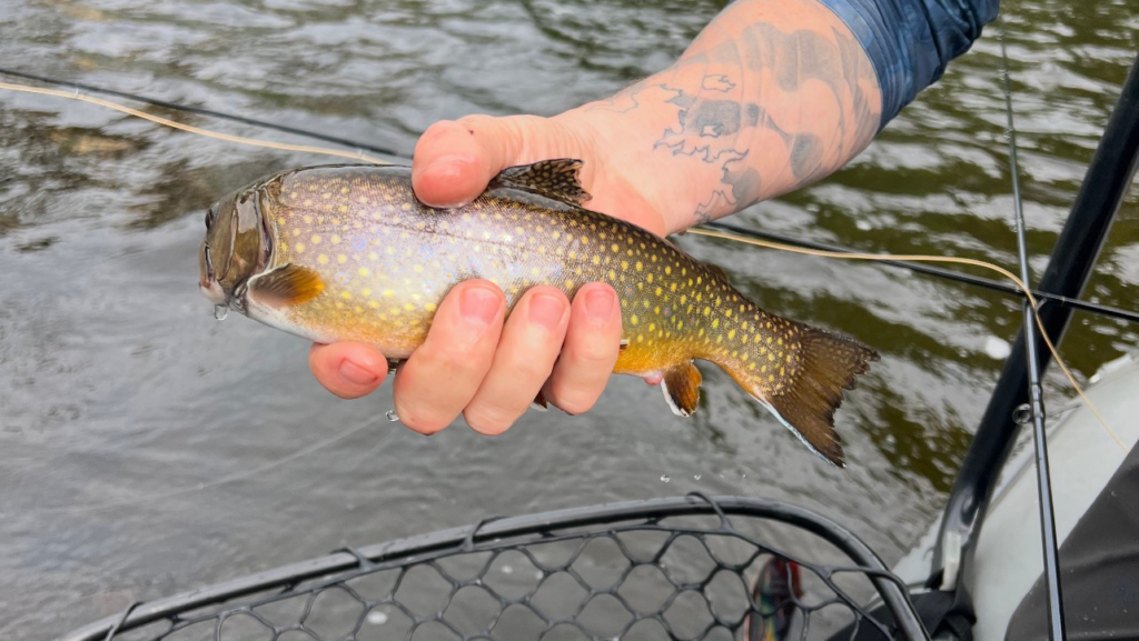 Fisherman Holding Fish on the Lehigh River