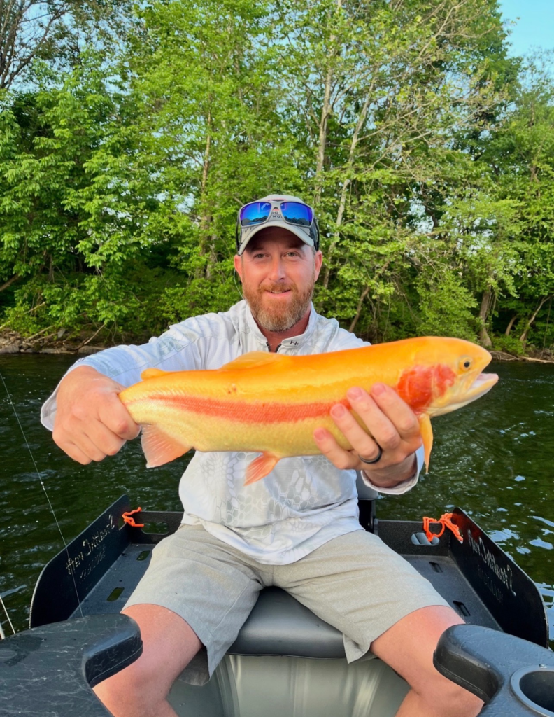 Fly Fisher Holding Fish on Lehigh River